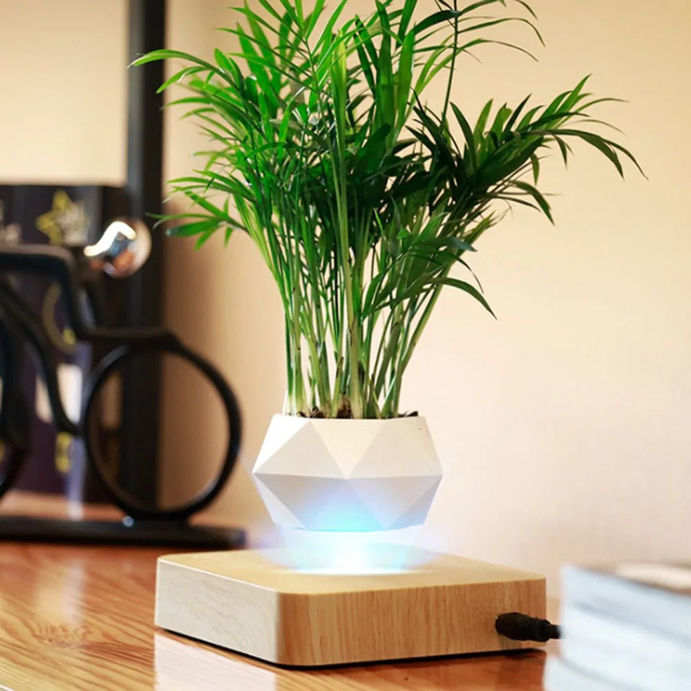 Un effet magique et relaxant : le pot de bonsaï flottant pour une décoration zen unique - Sama'zen