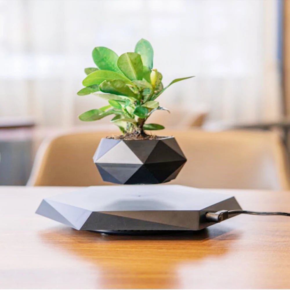 Un effet magique et relaxant : le pot de bonsaï flottant pour une décoration zen unique - Sama'zen