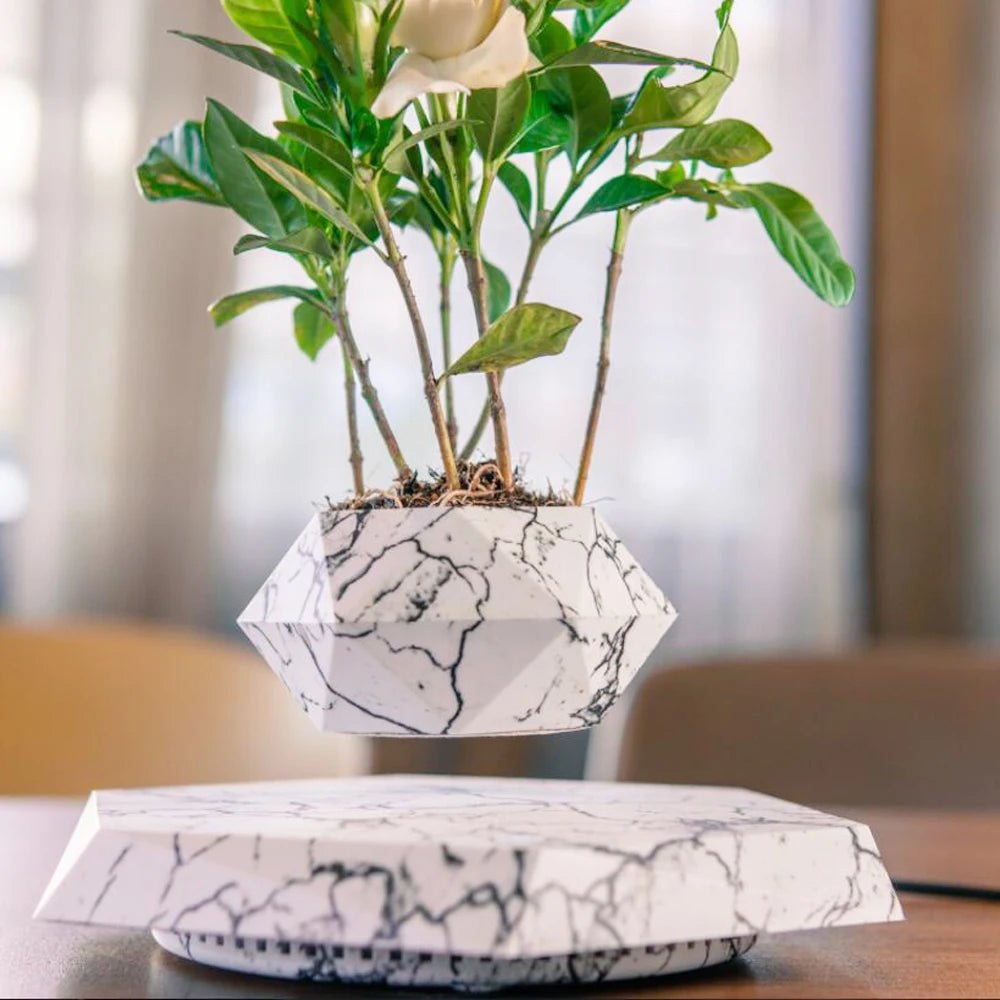 Un effet magique et relaxant : le pot de bonsaï flottant pour une décoration zen unique - Sama'zen