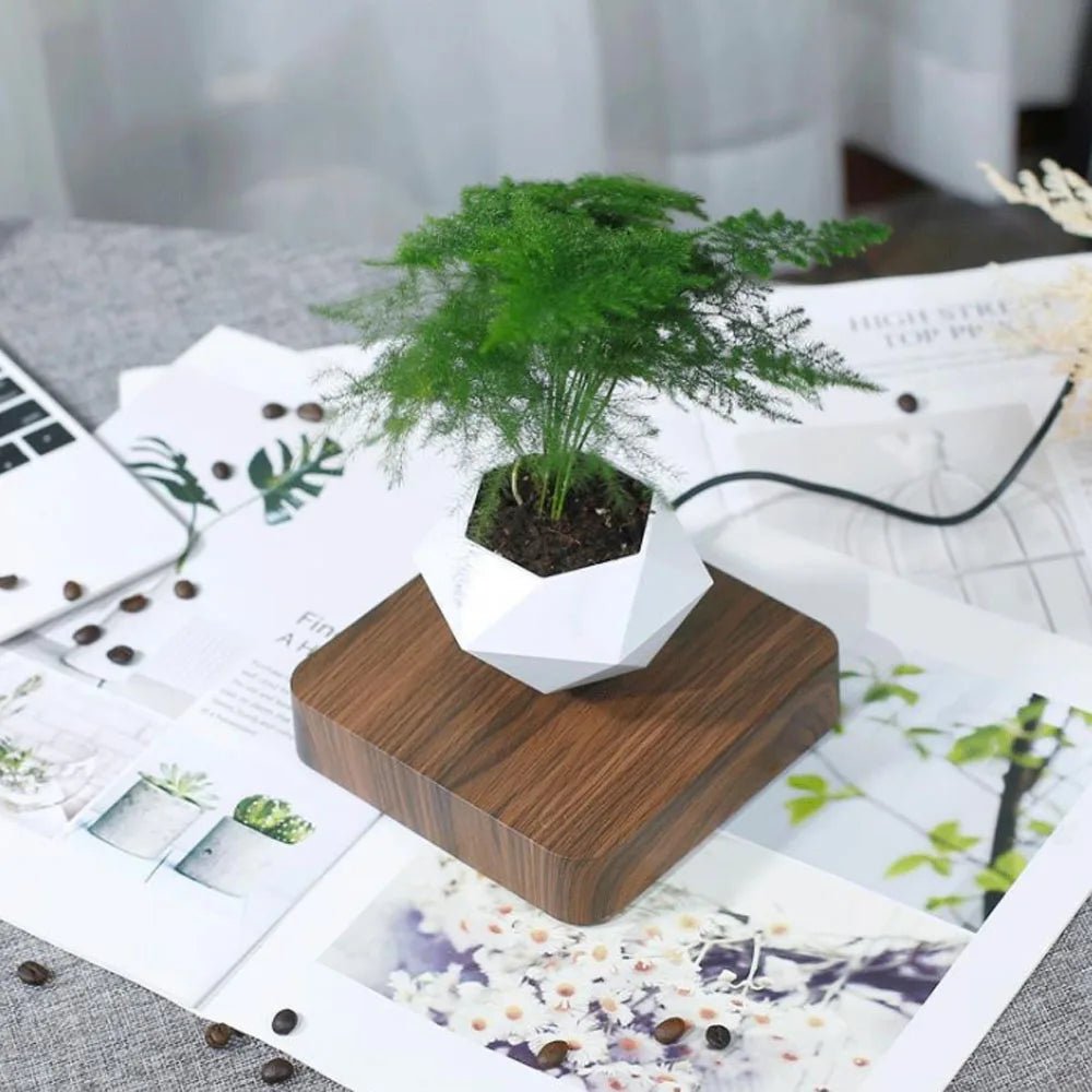 Un effet magique et relaxant : le pot de bonsaï flottant pour une décoration zen unique - Sama'zen