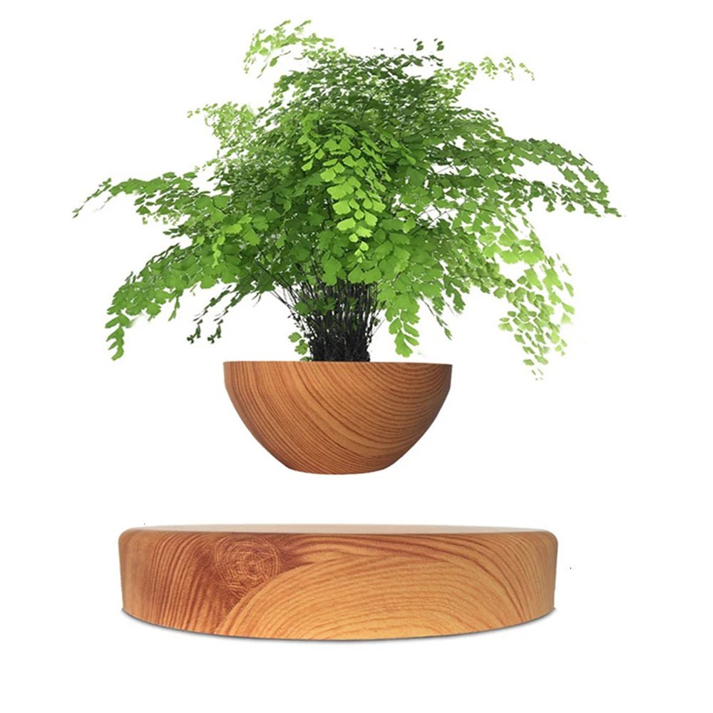 Un effet magique et relaxant : le pot de bonsaï flottant pour une décoration zen unique - Sama'zen