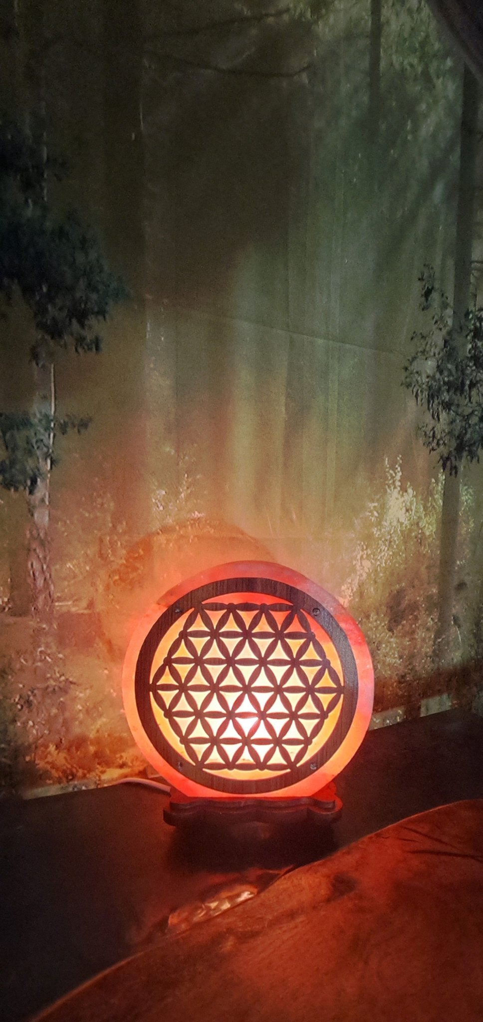Lampe de Sel Fleur de Vie ✨️– Énergie Positives et Harmonie Spirituelle - Sama'zen