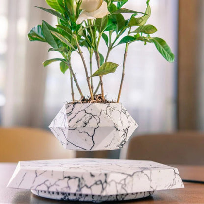 Un effet magique et relaxant : le pot de bonsaï flottant pour une décoration zen unique - Sama'zen